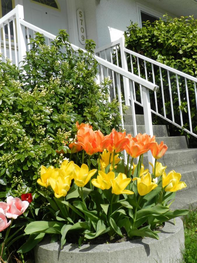 Serenity Bed & Breakfast Burnaby Eksteriør bilde
