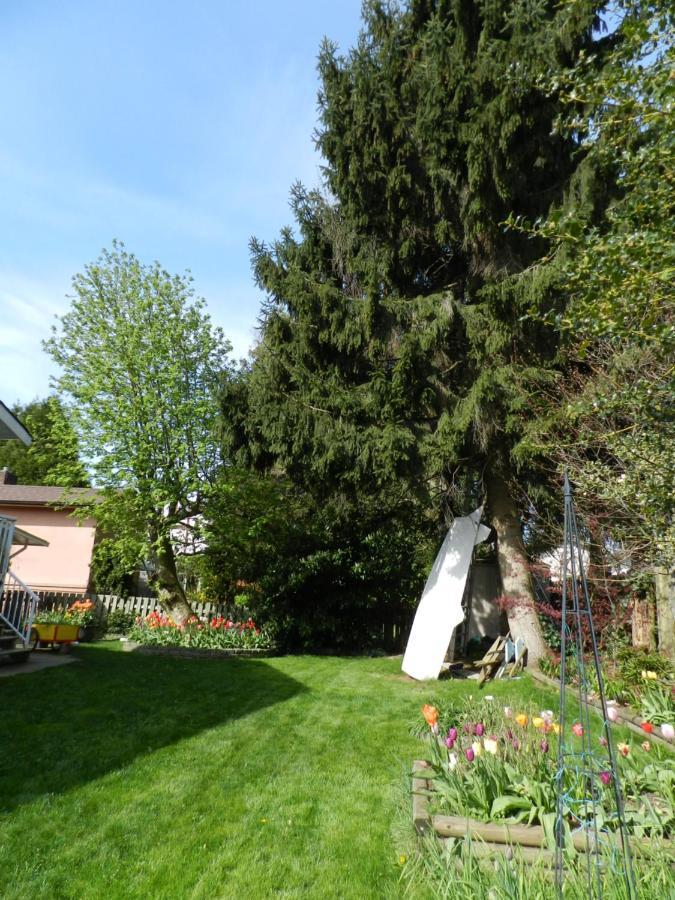 Serenity Bed & Breakfast Burnaby Eksteriør bilde