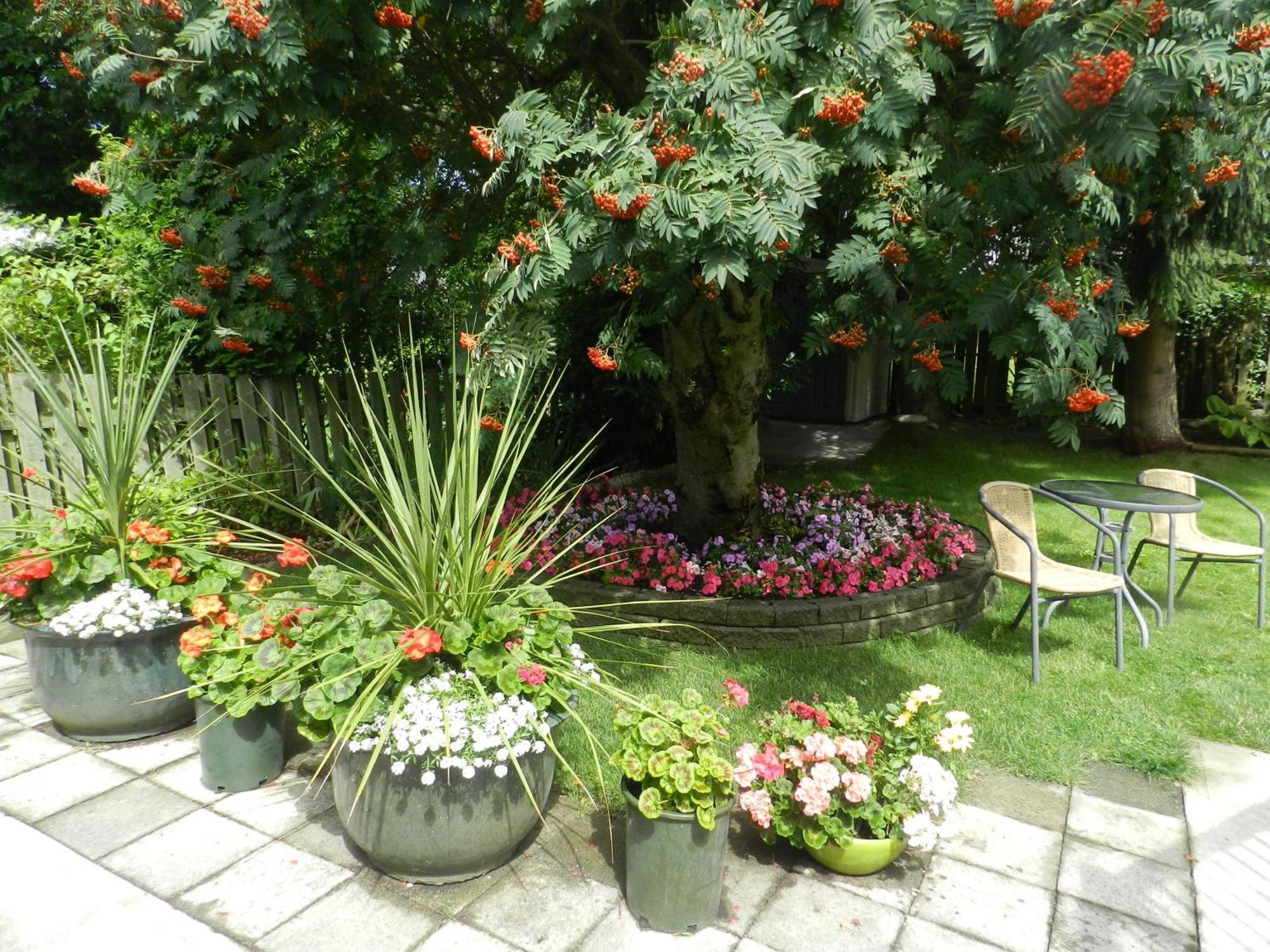 Serenity Bed & Breakfast Burnaby Eksteriør bilde