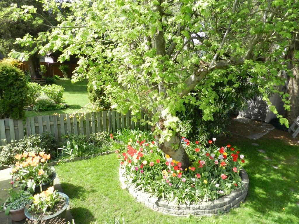 Serenity Bed & Breakfast Burnaby Eksteriør bilde