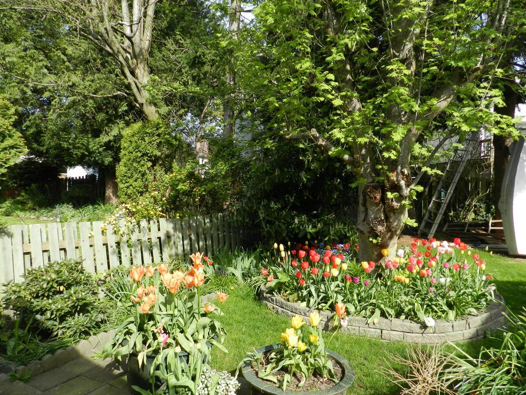 Serenity Bed & Breakfast Burnaby Eksteriør bilde