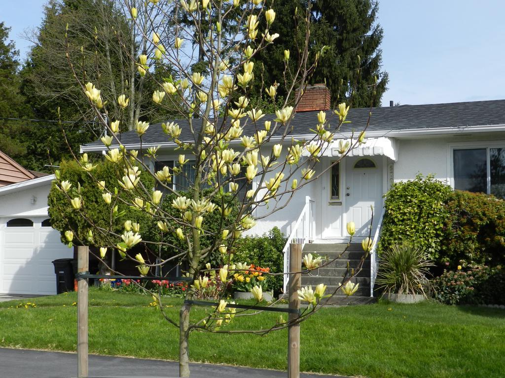 Serenity Bed & Breakfast Burnaby Eksteriør bilde