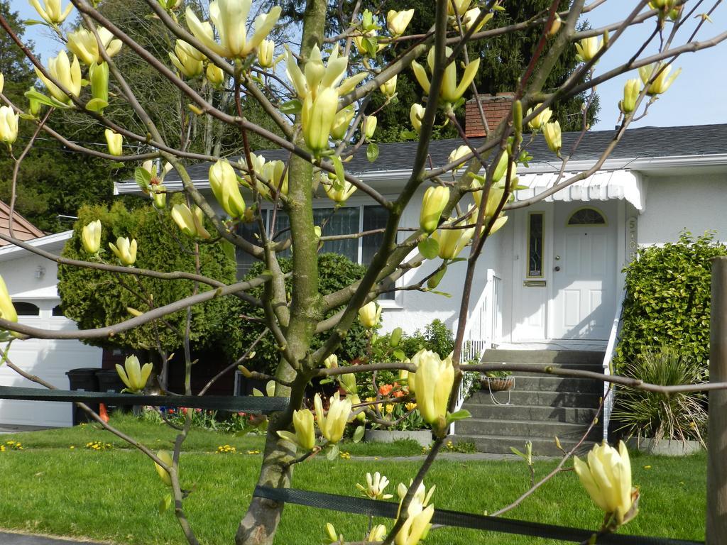 Serenity Bed & Breakfast Burnaby Eksteriør bilde