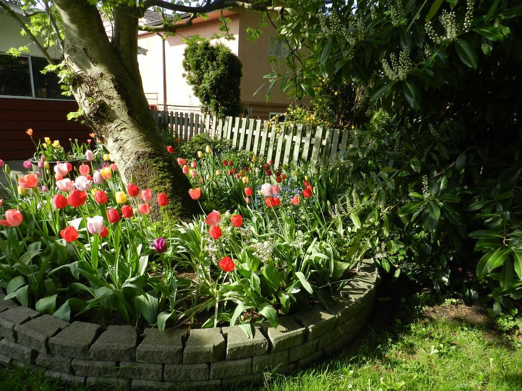 Serenity Bed & Breakfast Burnaby Eksteriør bilde